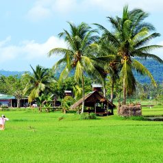 La Malaisie une diversité naturelle inhabituelle