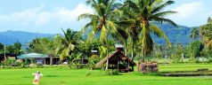 La Malaisie une diversité naturelle inhabituelle