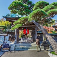 Découvrons Kamakura avec AsianWanderlust.com