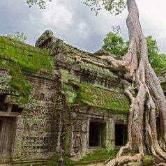 SORTIR HORS DES SENTIERS BATTUS AU CAMBODGE