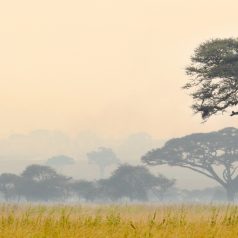 Pour un voyage responsable en Tanzanie