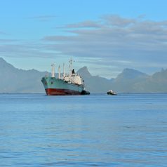 Se lancer dans une croisière en cargo mixte en Polynésie