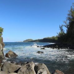 Visiter l’Ile de la Réunion