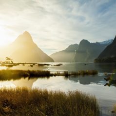 Quand partir en Nouvelle-Zélande ?