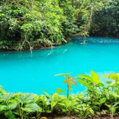 Quand faut-il partir au Costa Rica ?