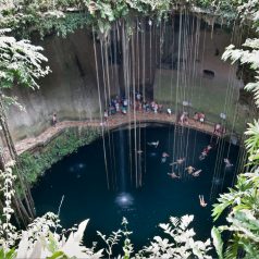 Les cenotes de Yucatan