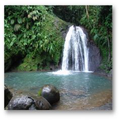 Balade en Guadeloupe : La Cascade aux Écrevisses