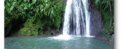 Balade en Guadeloupe : La Cascade aux Écrevisses