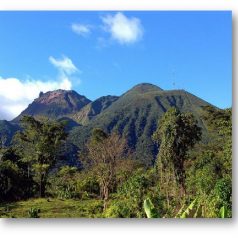 Excursions en pleine nature en Guadeloupe et en Afrique