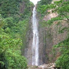 Top 3 des Cascades à voir en Guadeloupe