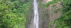 Top 3 des Cascades à voir en Guadeloupe