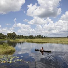 Les sites paradisiaques à ne pas manquer en Guyane