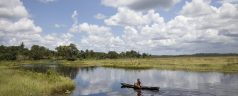 Les sites paradisiaques à ne pas manquer en Guyane