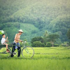 Organiser son voyage au Laos, les bons à savoir