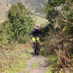 Zoom sur l’activité de VTT dans les Vosges