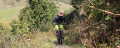 Zoom sur l’activité de VTT dans les Vosges