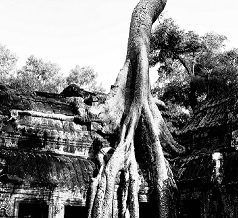 La meilleure saison à Angkor, Cambodge, c’est parti!!