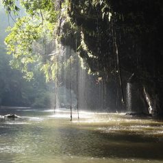 Trek chez les Karen avec un guide-interprete specialiste de la Thailande