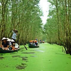 Une escapade tranquille au Vietnam !