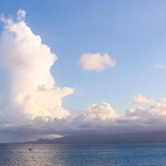 Quelle est la meilleure période pour visiter Guadeloupe ?