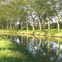 Visite de Toulouse au sud de la France