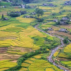 Chez habitant Sapa