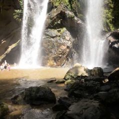 Randonnée dans la jungle autour de Chiang Mai