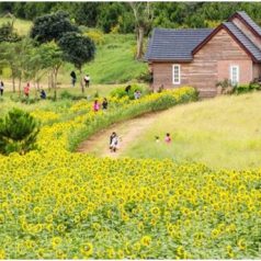 SITES À VISITER À DALAT