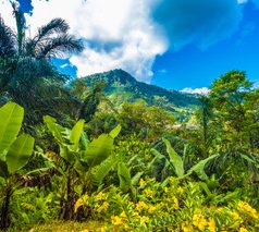 Une belle exploration dans le Parc National Ranomafana