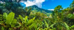 Une belle exploration dans le Parc National Ranomafana