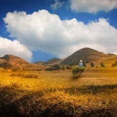 Que voir et que faire à Madagascar ?