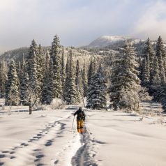 Ski alpin contre ski de fond : que choisir ?