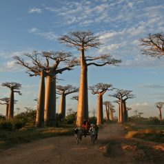 Préparer son voyage à Madagascar en 4 étapes