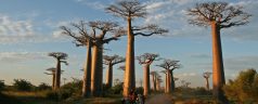 Préparer son voyage à Madagascar en 4 étapes