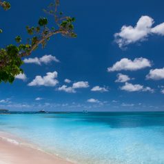 Sélection des plus belles plages de Martinique