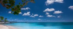 Sélection des plus belles plages de Martinique