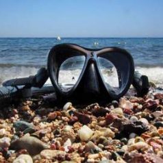 La plongée sous-marine en France : Préparez-vous pour une plongée sous-marine transcendante